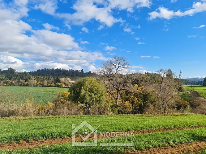Agrícola en venta en Traiguén
