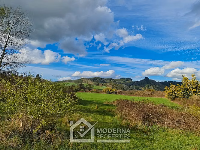 Agrícola en venta en Traiguén