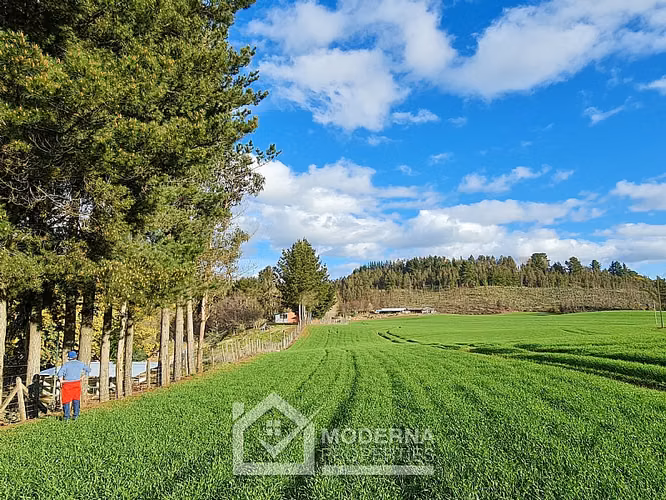 Agrícola en venta en Traiguén