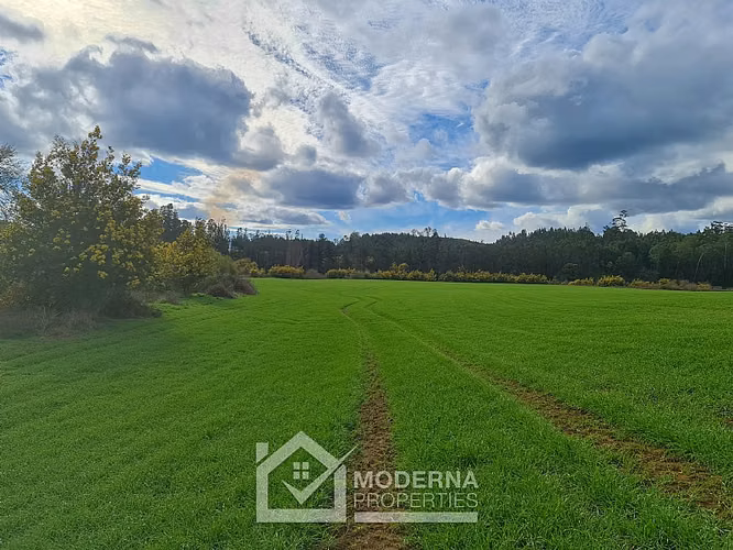 Agrícola en venta en Traiguén