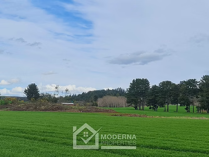Agrícola en venta en Traiguén