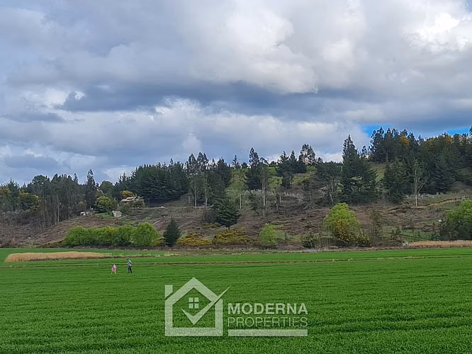 Agrícola en venta en Traiguén