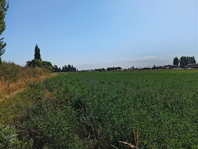 Terreno Construccion en venta en Pudahuel - Imagen 12