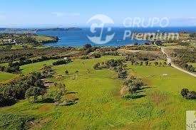 PARCELA EN VENTA - SECTOR PLAYA HUICHA - Imagen 5