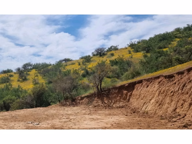 Vende parcelas de 5.000 mt2, con rol propio, en Melipilla, Proyecto Alta Vista, sector Maitenes - Mandinga