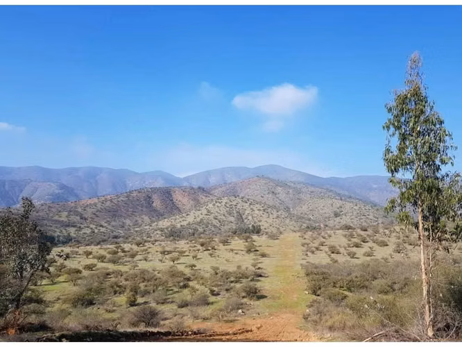 Vende parcelas de 5.000 mt2, con rol propio, en Melipilla, Proyecto Alta Vista, sector Maitenes - Mandinga