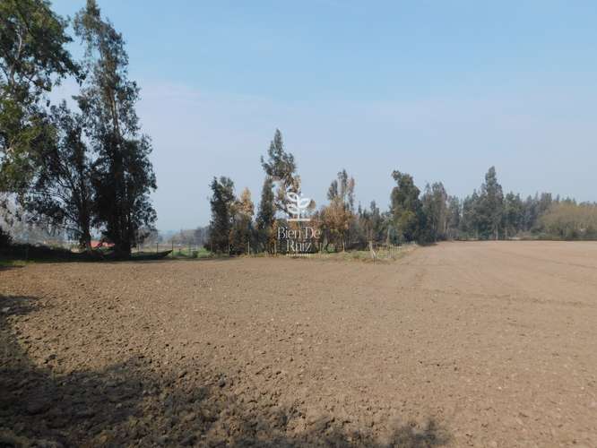 VENTA PARCELA 4 HA CAMINO SANTA ROSA, VILLA ALEGRE, MELIPILLA
