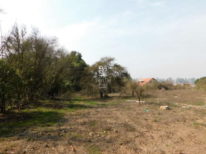 VENTA PARCELA 4 HA CAMINO SANTA ROSA, VILLA ALEGRE, MELIPILLA