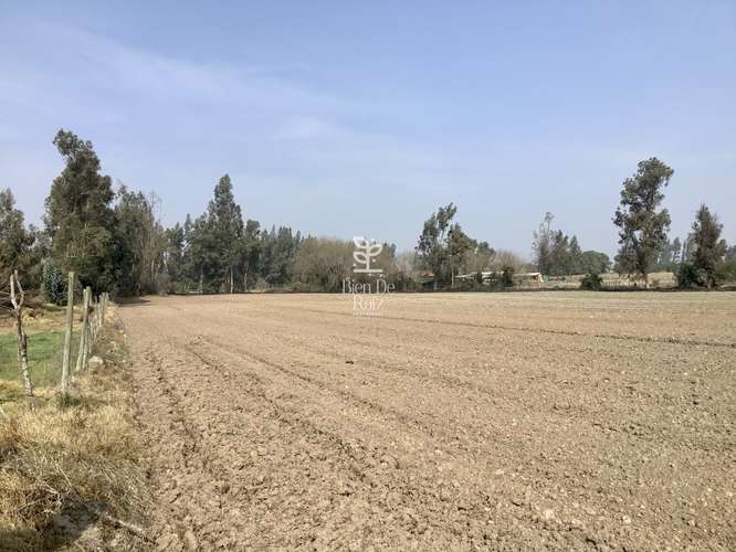 VENTA PARCELA 4 HA CAMINO SANTA ROSA, VILLA ALEGRE, MELIPILLA
