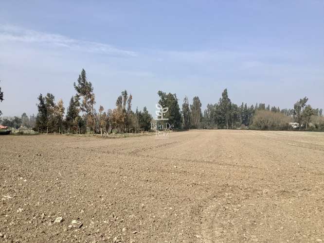 VENTA PARCELA 4 HA CAMINO SANTA ROSA, VILLA ALEGRE, MELIPILLA