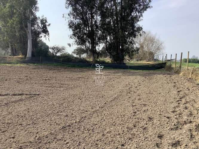 VENTA PARCELA 4 HA CAMINO SANTA ROSA, VILLA ALEGRE, MELIPILLA