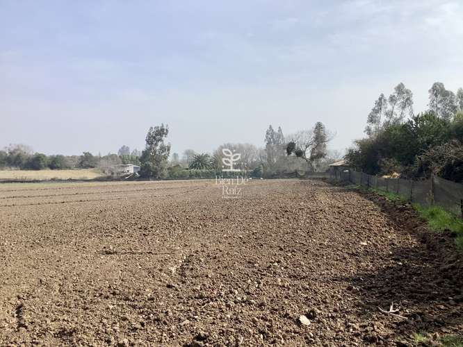 VENTA PARCELA 4 HA CAMINO SANTA ROSA, VILLA ALEGRE, MELIPILLA