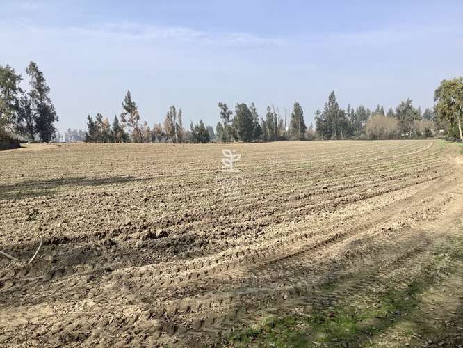 VENTA PARCELA 4 HA CAMINO SANTA ROSA, VILLA ALEGRE, MELIPILLA