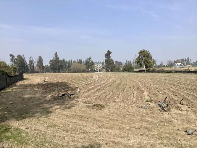 VENTA PARCELA 4 HA CAMINO SANTA ROSA, VILLA ALEGRE, MELIPILLA