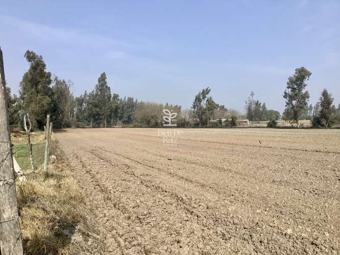 VENTA PARCELA 4 HA CAMINO SANTA ROSA, VILLA ALEGRE, MELIPILLA
