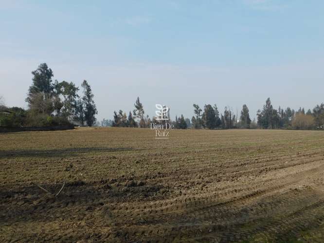 VENTA PARCELA 4 HA CAMINO SANTA ROSA, VILLA ALEGRE, MELIPILLA