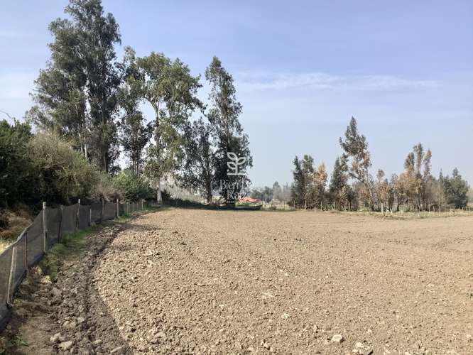 VENTA PARCELA 4 HA CAMINO SANTA ROSA, VILLA ALEGRE, MELIPILLA