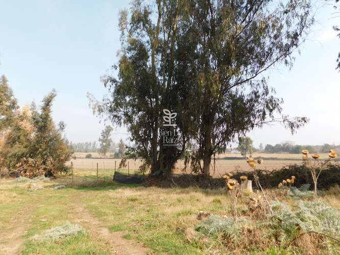 VENTA PARCELA 4 HA CAMINO SANTA ROSA, VILLA ALEGRE, MELIPILLA