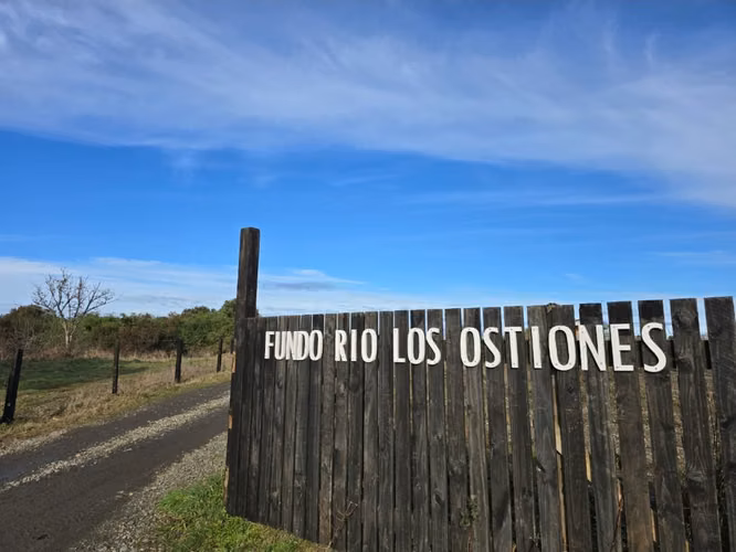Vende parcelas con rol propio, desde 5.000 mt2, en proyecto Fundo Río Los Ostiones, Los Muermos.  Opción de Crédito directo.