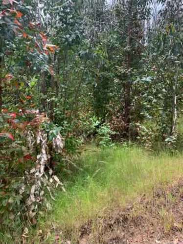 Vende campo de 21 hectáreas en Traiguén, Novena Región, rol chileno, sector muy tranquilo
