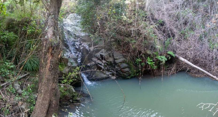 Vende parcelas en proyecto Parque El Estero, ubicado entre, Matanzas y Puertecillo