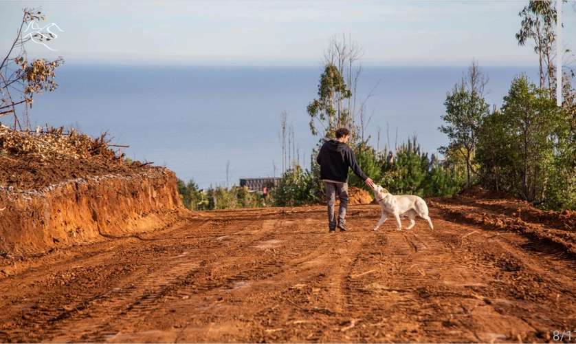 Vende parcelas en proyecto Parque El Estero, ubicado entre, Matanzas y Puertecillo