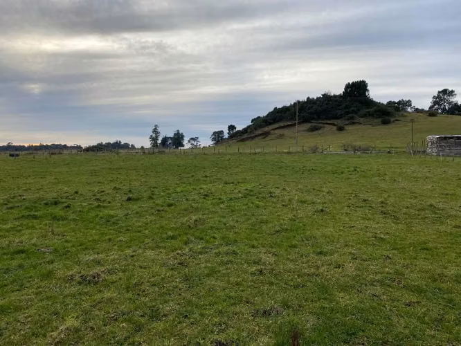 Hermosa Parcela - Sector Línea Nueva.