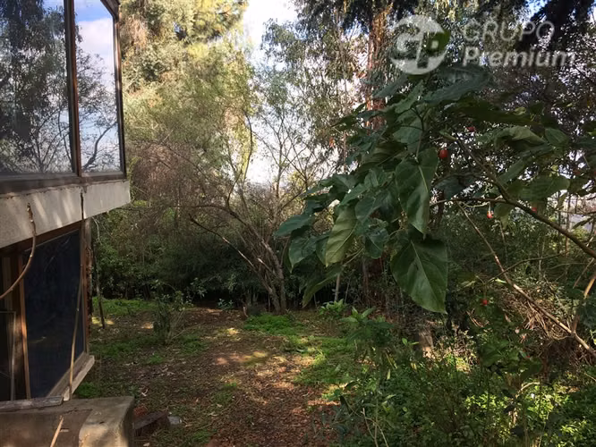 Venta de Parcela con Casa en La Reina - Imagen 13