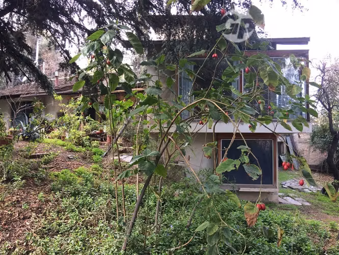 Venta de Parcela con Casa en La Reina - Imagen 3
