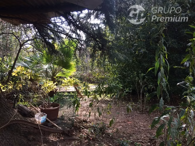 Venta de Parcela con Casa en La Reina - Imagen 19