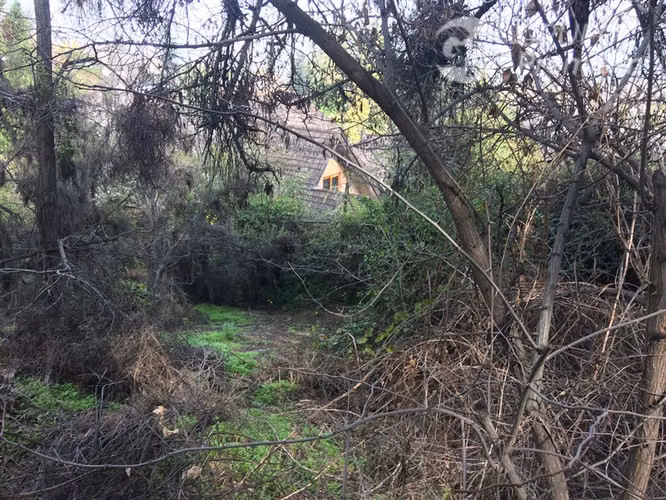Venta de Parcela con Casa en La Reina - Imagen 18