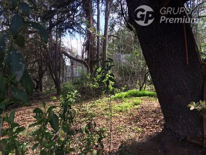 Venta de Parcela con Casa en La Reina - Imagen 20
