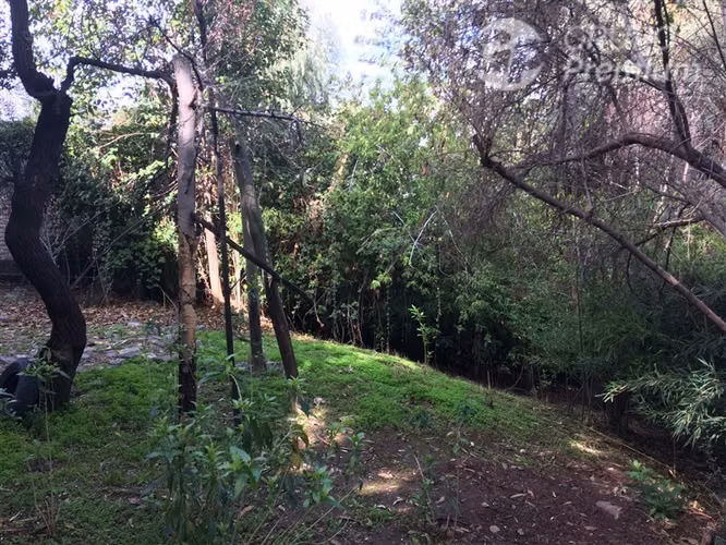 Venta de Parcela con Casa en La Reina - Imagen 11