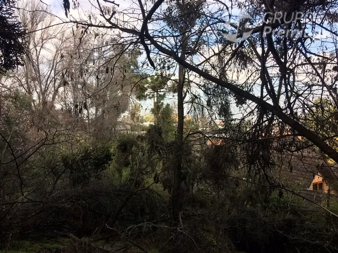 Venta de Parcela con Casa en La Reina - Imagen 17