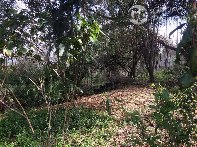 Venta de Parcela con Casa en La Reina - Imagen 21