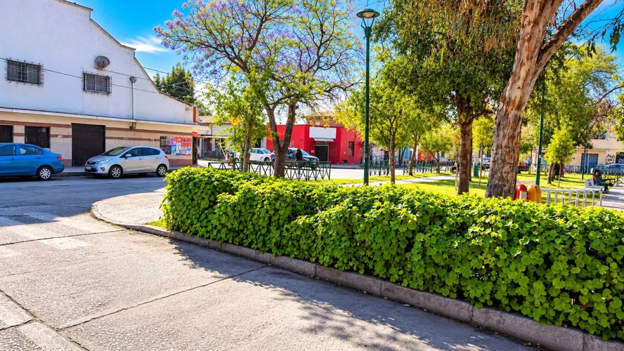 Casa 6D 3B | 2 Pisos | 2 Estac. | San Miguel (185485) - Imagen 21