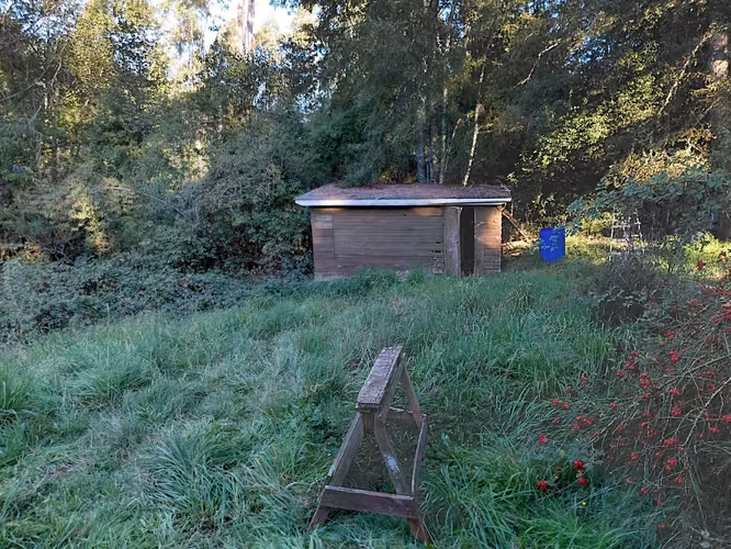 VENTA PC. DE 5.000 M2, CON CASA UNOS 90 m2. PICHIHUAPE, CAYUMAPU, A 15 MIN DE VALDIVIA