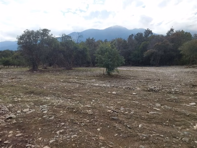 Sitio en Venta en Olmué - Imagen 5