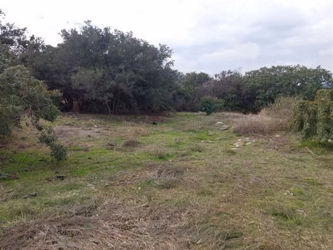 Sitio en Venta en Olmué - Imagen 7