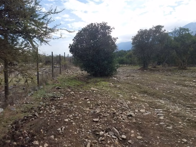 Sitio en Venta en Olmué - Imagen 2