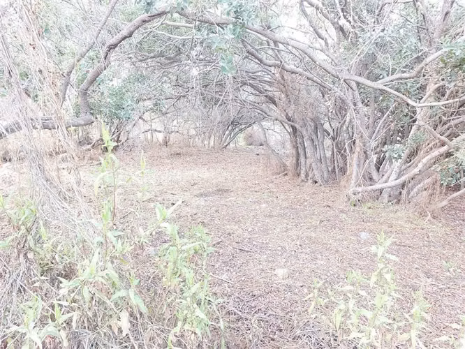 Sitio en Venta en Olmué - Imagen 10