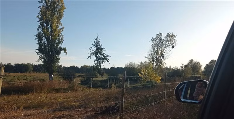 Agrícola en Venta en San Carlos