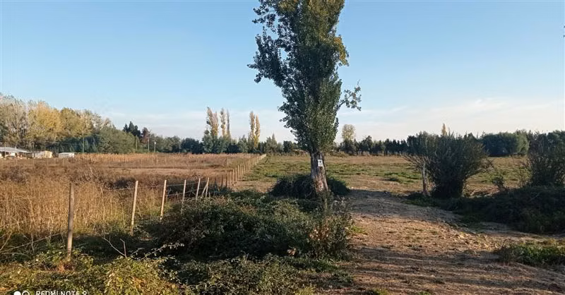 Agrícola en Venta en San Carlos