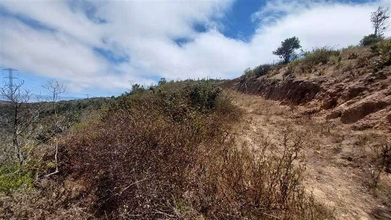 Sitio en venta en La Ligua - Imagen 21