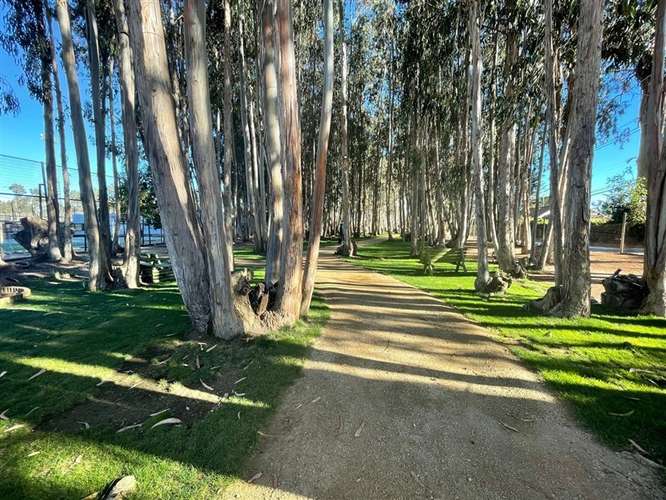 Departamento Estilo Mariposa en venta 2 dorm. en Algarrobo
