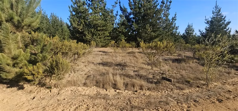Parcela en venta en Pichilemu - Imagen 8