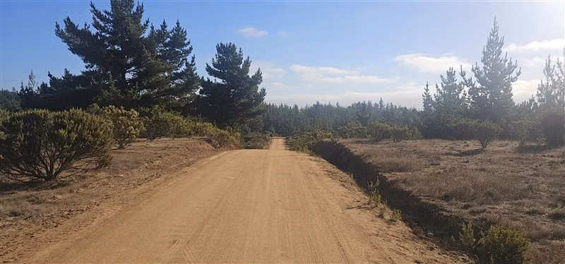 Parcela en venta en Pichilemu - Imagen 5