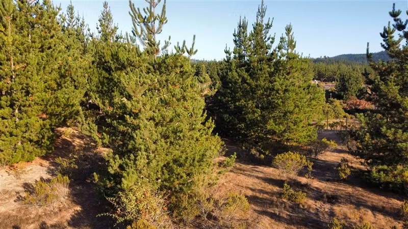 Parcela en venta en Pichilemu - Imagen 32