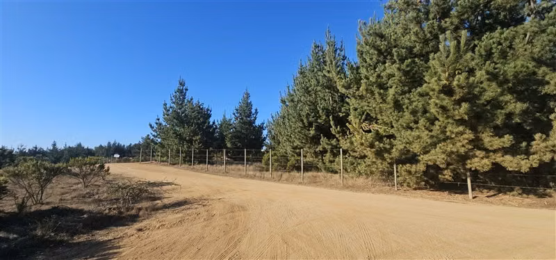 Parcela en venta en Pichilemu - Imagen 9