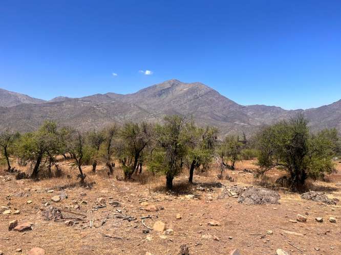 Vendo Parcela Elegante Condominio San Francisco de los Andes
